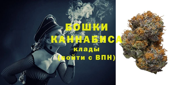 ПСИЛОЦИБИНОВЫЕ ГРИБЫ Балабаново