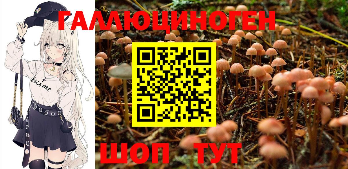 Галлюциногенные грибы прущие грибы Белово