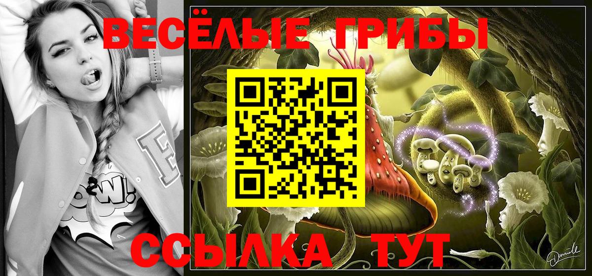 Белово  Галлюциногенные грибы мухоморы  купить наркоту  Вход с VPN 